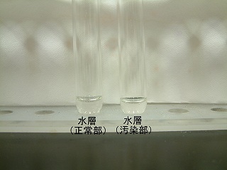 上の水相部を別の試験管に採取した写真。正常部汚染部共に無色透明
