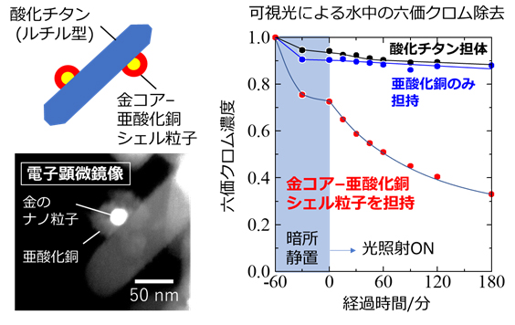 光触媒材料のデザインと重金属の除去効果