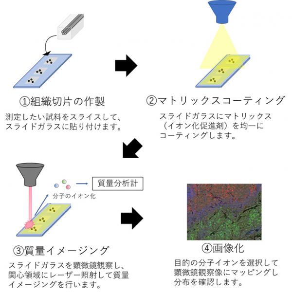 図1　質量イメージング測定の概略