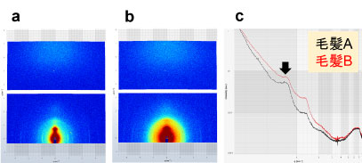 毛髪のSAXS測定例