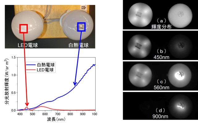 LED電球と白熱電球の外観および特定箇所の分光放射輝度ほか