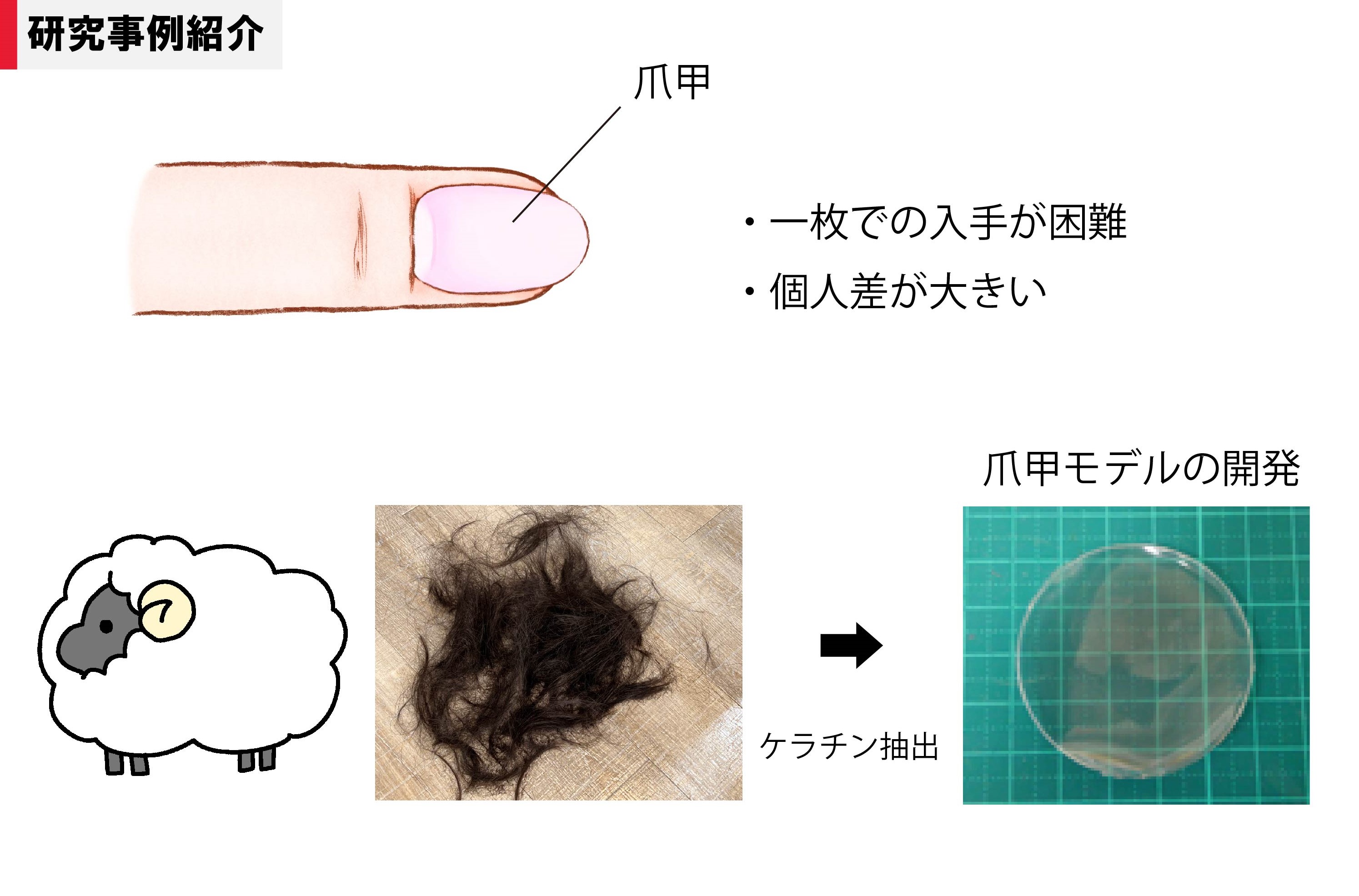 トップイメージ