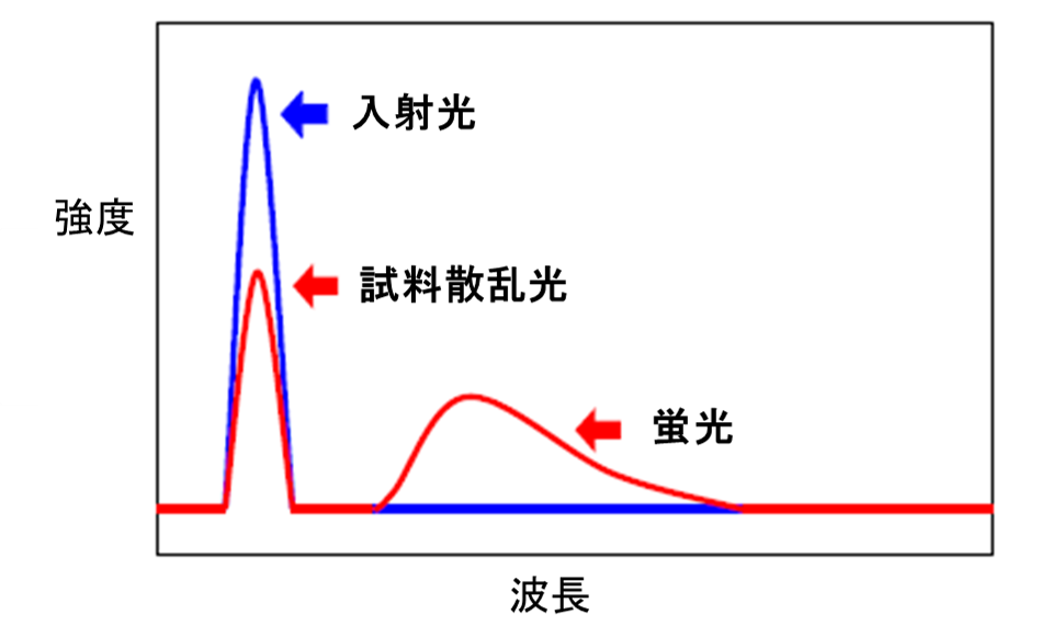 グラフ