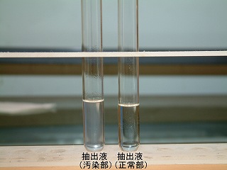 正常部と汚染部からの抽出液を比較している写真。正常部無色透明、汚染部わずかに白濁