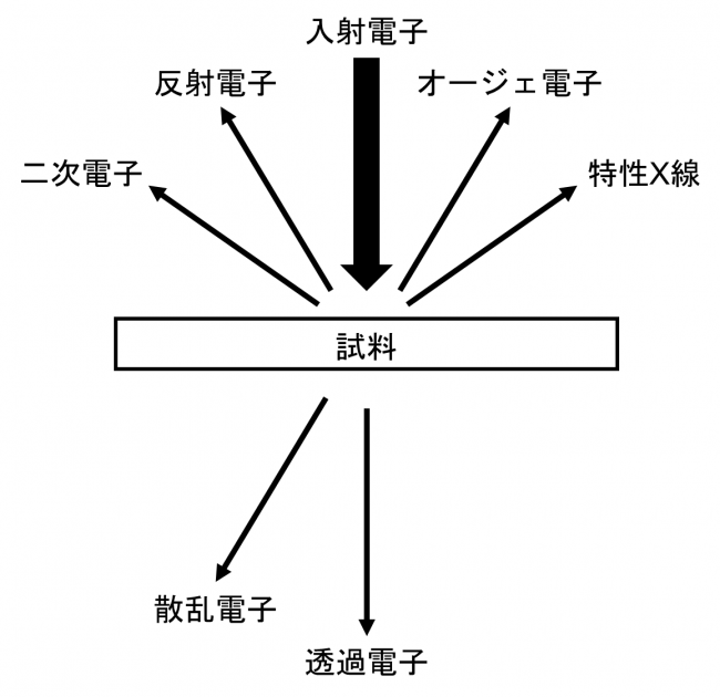 図1　電子線と試料との相互作用の図